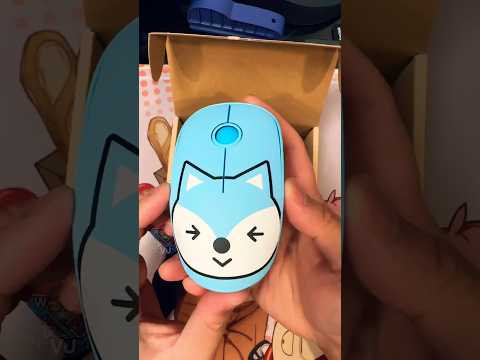 This Wireless Mouse