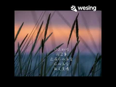 二三四个字 - 常石磊 (cover  by Sewmi 蜜蜜 )