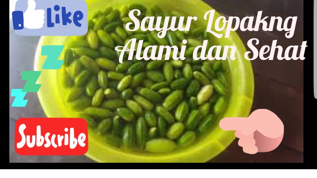 Eksplore #4 Sayur lopakng dari ladang barbie dolls