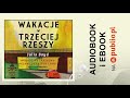 Wakacje w Trzeciej Rzeszy. Julia Boyd. Audiobook PL