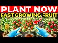 Plant These NOW! 15 Fast Growing Dwarf Fruit Trees for Small Backyards
