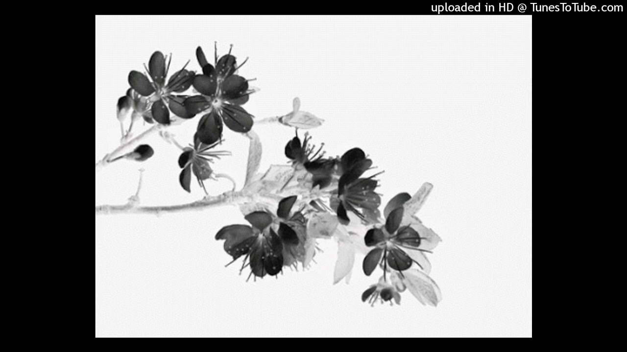 [free for profit] luvmusic + redda + supertrap type beat (prod. lyler)