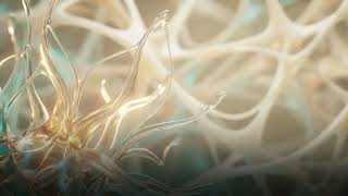 Genetic Odyssey of Bravo Plasmids