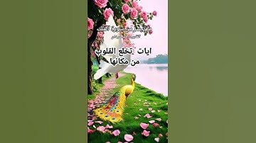 ما تيسر من سورة الملك بصوت القارىء احمد مرخان