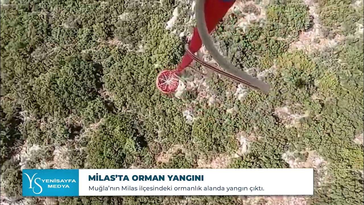 Milas’ta orman yangını