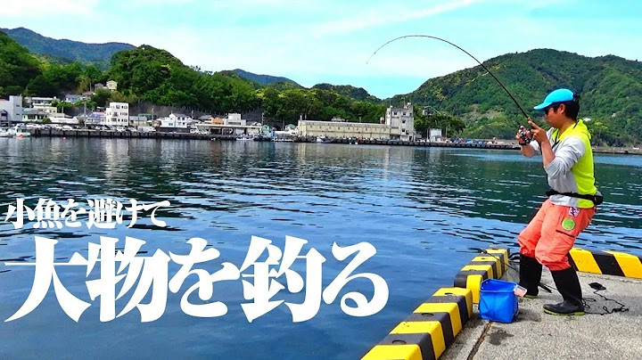 堤防際の大物狙いに最適な釣り方があると聞いて挑戦してみた結果…ルアータックルでも再現可能なお手軽釣りに行き着いた件。