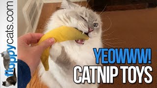 yeowww catnip near me