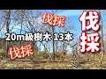 #3 民家ギリギリに立つ樹木を牽引して伐採/世界に誇る日本の優秀な薪ストーブ/笹やぶで巣ごもり？可愛いニワトリたち♡