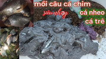 Mồi câu cá chim, cá nheo, cá trê siêu nhạy, đánh tự nhiên và dịch vụ đề ok