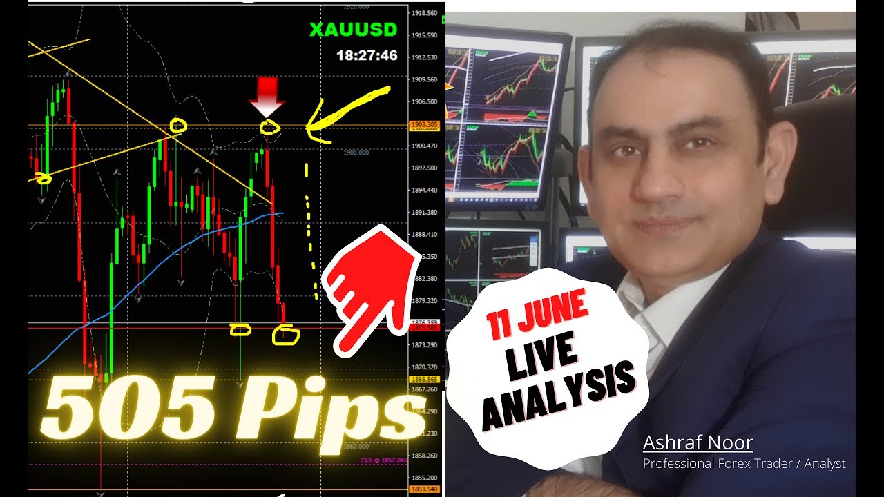 Gold 505 Pips Today! Trading Forex Live Based On 4Hr & Intraday Live ...