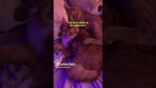 I Recently Uploaded New Short Videos On YouTube and Don’t Forget To Like and Subscribe and Share and