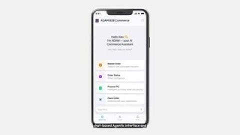 Demo: B2B Agentic Commerce Demo Video