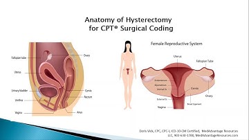 Free Medical Coding Training: Anatomy of Hysterectomy Surgical Coding