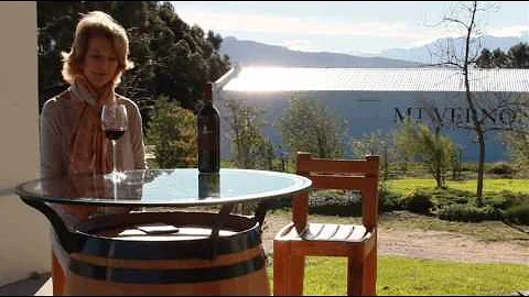 wine.co.za talks to Debbie Hooper from Mount Verno...
