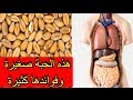 شاهد حبة صغيرة لها تركيبة فريدة مسؤولة بإذن الله عن علاج عدة أمراض في الجسم