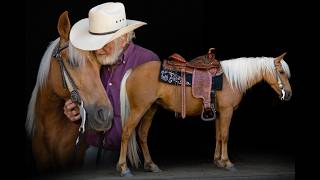 "Meet Pumpkin" Registered 2019 Missouri Fox Trotter Mare For Sale | consigned to Thehorsebay.com