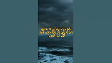 سورة البقرة اية 69 - مع صوت البحر بصوت جميل - قَالُواْ ادْعُ لَنَا رَبَّكَ يُبَيِّن لَّنَا مَا