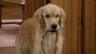 Comet Steals The Sausages [Full house]