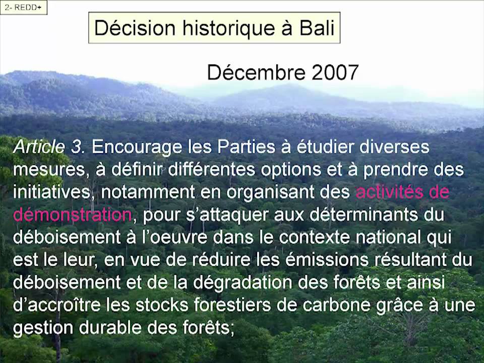 J. Pelletier, C. Potvin - La réduction des émissions provenant du déboisement