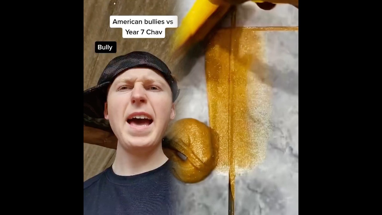 🇺🇸 Bullies vs 🇬🇧 Year 7 Chav Part 4!👊 