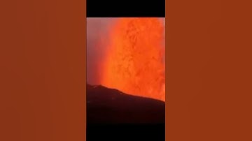 تلاوة رائعة جدا جملية استمعوا تفائلوا بصوت طالب العلم غالب جسار ﴿وعلى الله فل يتوكل المؤمنؤن﴾👍👍