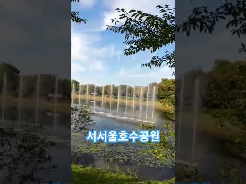 서서울호수공원입니다.비행기에 무지개 :) #서서울호수공원 #호수공원#shorts