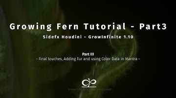 Realistic Fern Grow Tutorial Part 3 | Houdini | Growinfinite 1.10