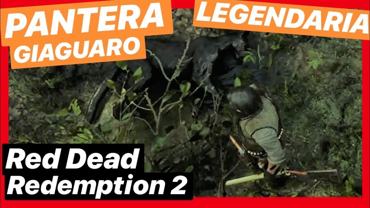 🐱‍👤 PANTERA LEGENDARIA GIAGUARO | Red Dead Redemption 2 - YouTube
