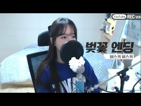 버스커 버스커 Busker Busker 벚꽃 엔딩 Cherry Blossom Ending COVER By 새송 SAESONG