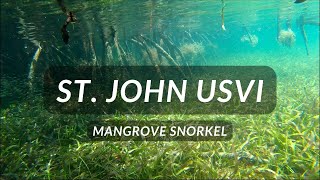 Mangrove Snorkel - Hurricane Hole St. John Usvi