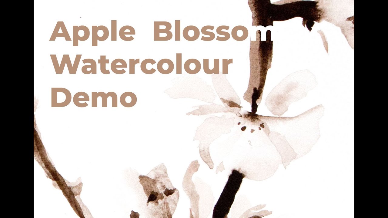 'Apple Blossoms'   Plein Air Watercolour Demonstration