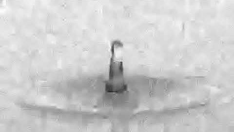 Water (VBM3D denoised)