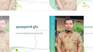 director dai voice thailand 2023