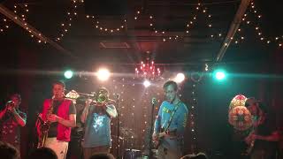 Callery Pears - Dear Friend