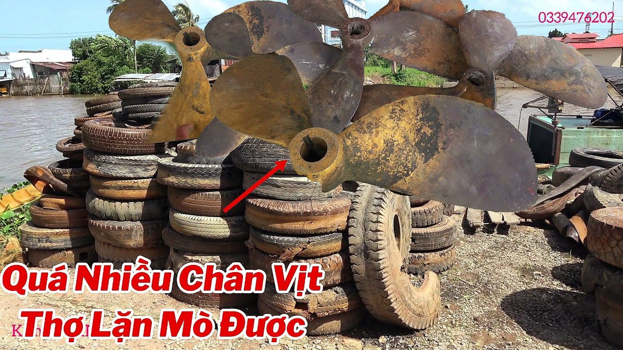 Thợ Lặn Kiếm Được 10 Triệu Nhờ Mò Được Những Chân Vịt Sà Lan.
