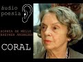 áudio de poema&quot;.Sophia de Mello Breyner Andresen,