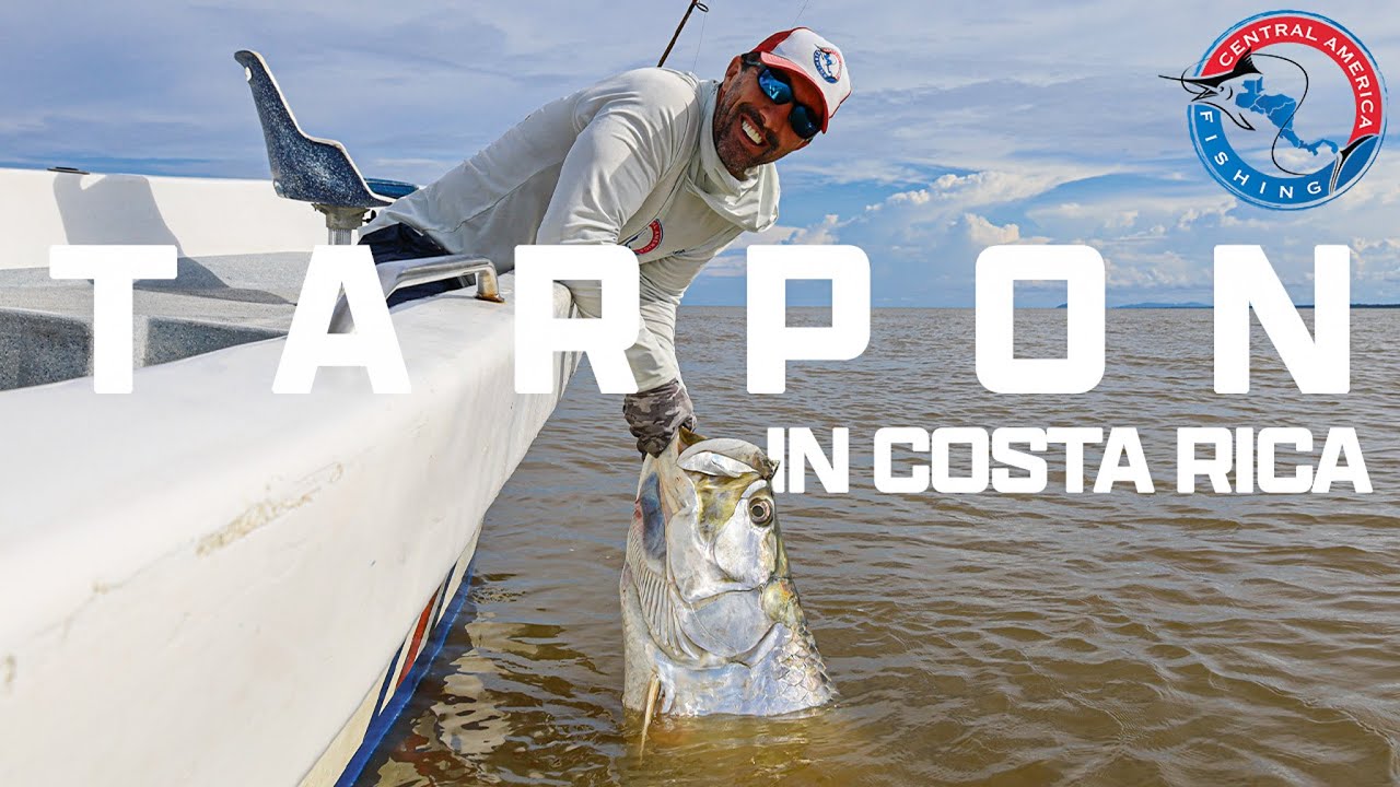 The BEST Tarpon Fishing in Costa Rica