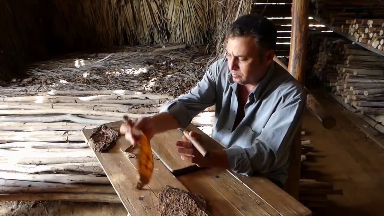 Cuba 2016 - Vegueros Cigar Making (Tobacco farm near Viñales)