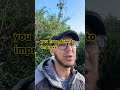AI continued 11