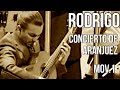 Concierto de Aranjuez, I Movement I Joaquin Rodrigo | Artyom Dervoed