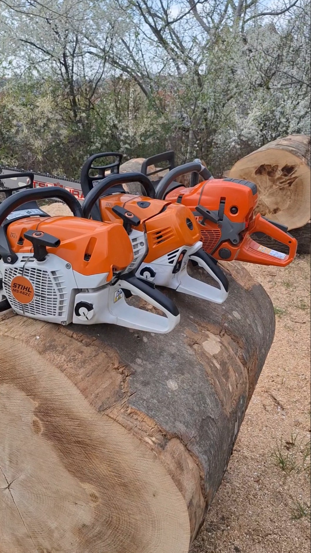 Husqvarna 572xp & Stihl MS 500i, 462c - YouTube