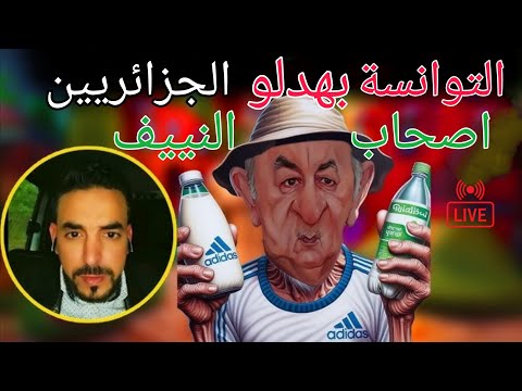 التوانسة بهدلو الحزائريين الي عندهم النييف فلايف كمال أمير الصحراء المغربية اكسبلور