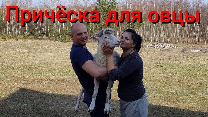 Chexiya porno fantaziyalar Gangbang fransuz porno