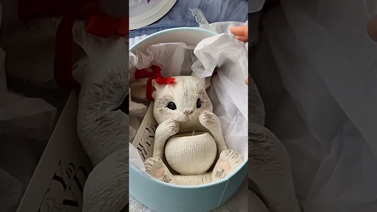 Наш любимый зайка 🐇 