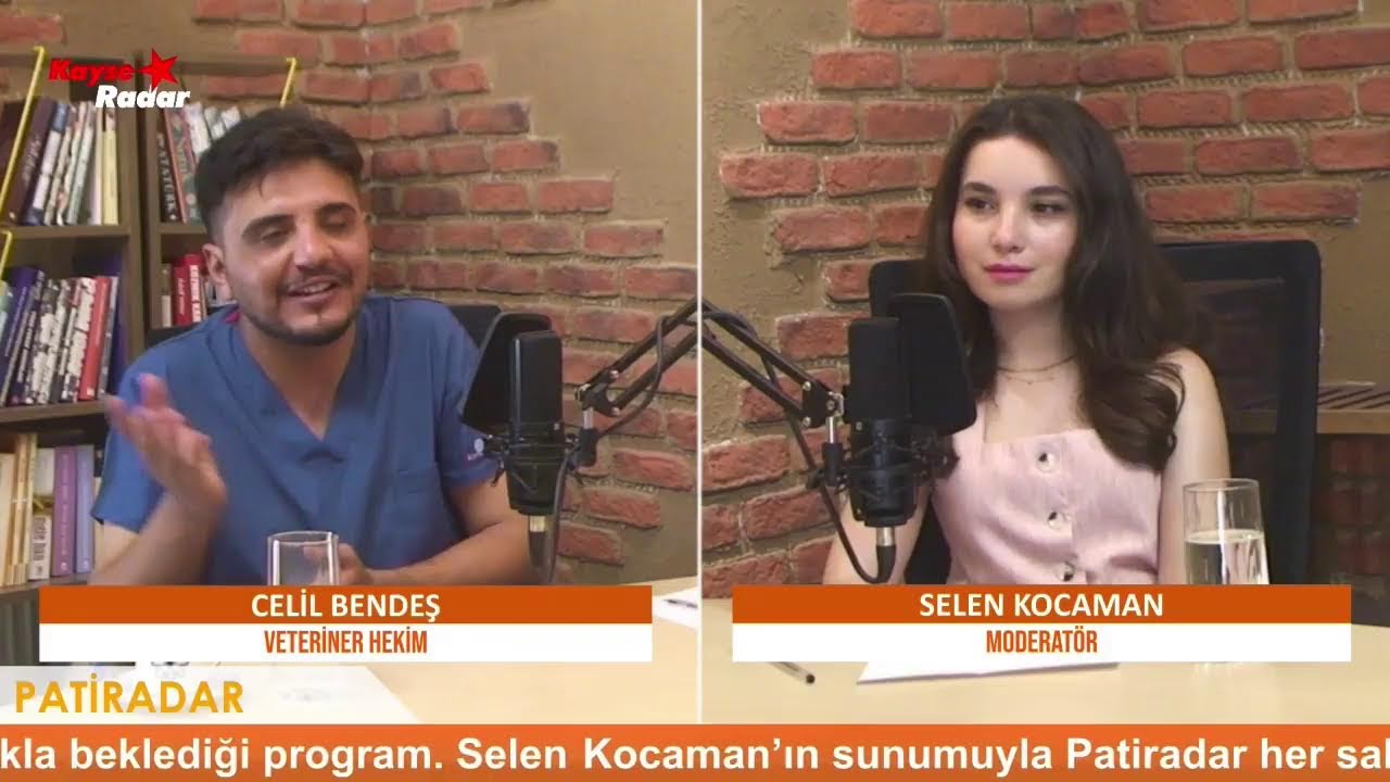 PatiRadar/ Evcil Hayvan Sahiplenmeden Önce Bilinmesi Gerekenler: Veteriner Hekimden Önemli Uyarılar