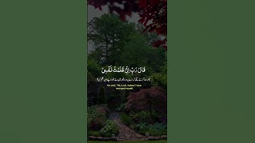 القران الكريم بصوت رائع #اكسبلور #المصحف #تيك_توك #الرحمن #دويتو #duet #حالات_واتس #العظماء