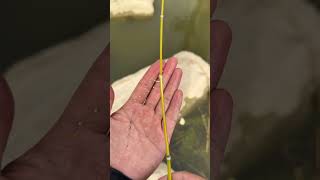 Go Fishing At Anytime And Anywhere If You Have This Pocket Set.