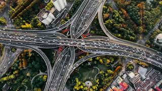 Dt Leadership Online Training Workshop 2020