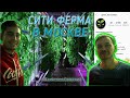 СитиФермер Илья. Ферма Green_mix.market. #ЛамповоеОбщение