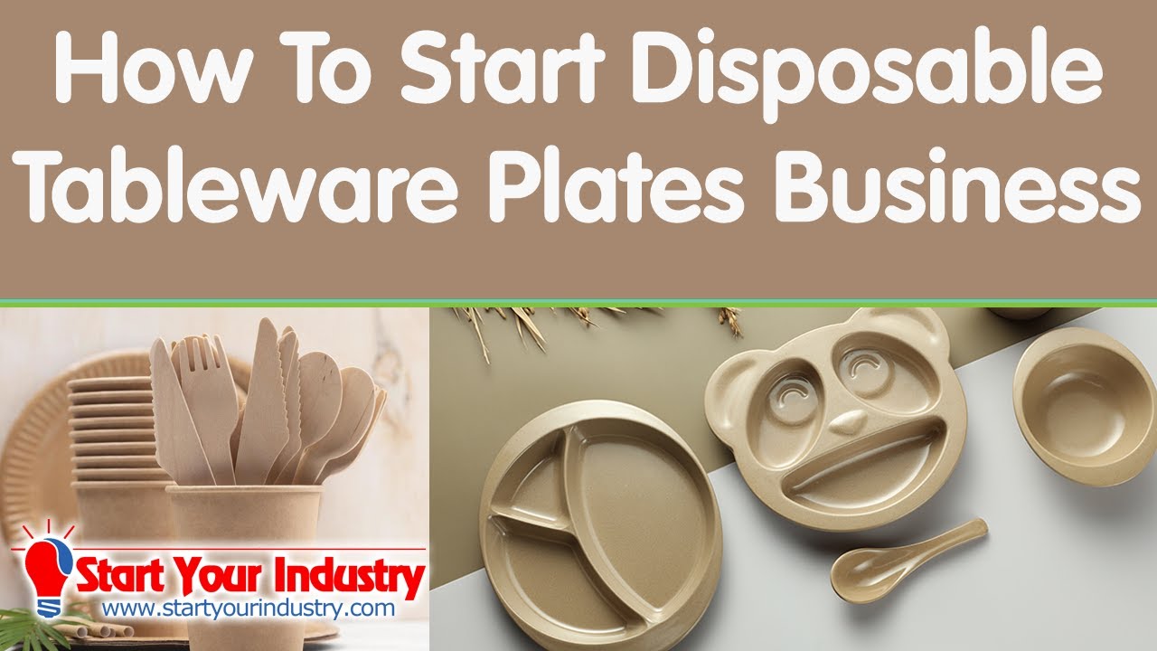 How To Start Disposable Tableware Plates Business YouTube